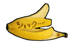 13848671