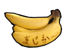 13848673