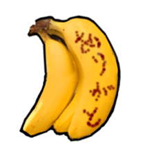 13848674