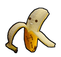 13848676
