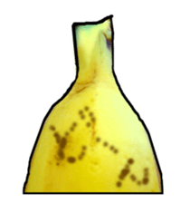 13848679