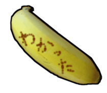 13848681