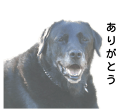 138791628