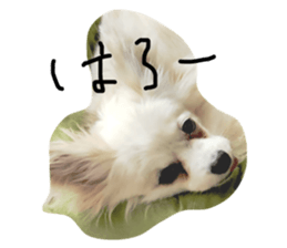 138922888