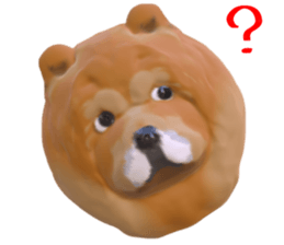 139141022