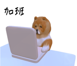 139141047