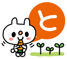 13916486
