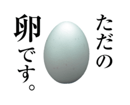 13920134