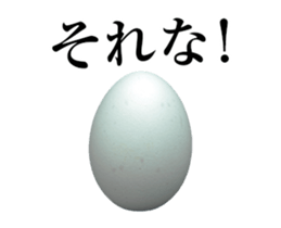 13920143