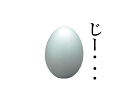 13920154