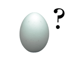 13920155