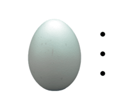 13920156