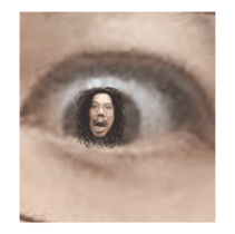 13920442