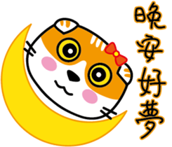 13927365