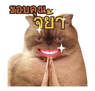 ลายที่ 4