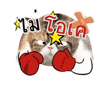 ลายที่ 21