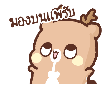 ลายที่ 11