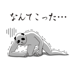 13943172