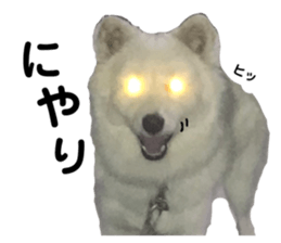 139500394