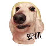 139752446