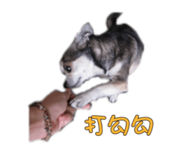 13987691