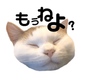 139915046