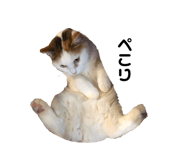 139915050