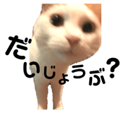 139915051