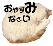 139915052