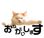 139915054