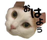 139915055