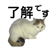 139915056