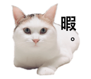 139915057