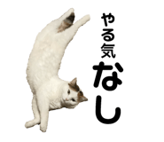 139915058