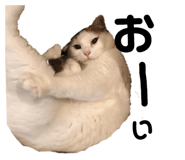 139915060