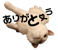 139915061