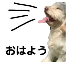 139946268