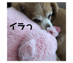 140112705