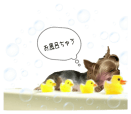 140129020