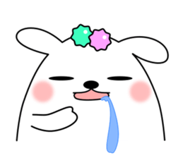 14030855