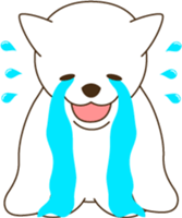 1403146