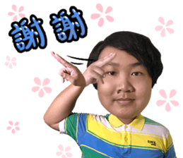 14046675