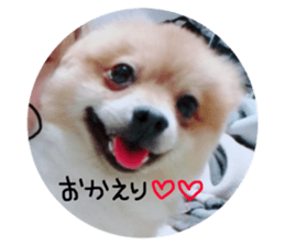140503530