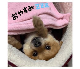 140503533