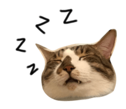 140559374