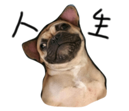 140559378