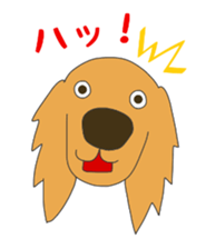 14056464