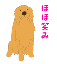 14056475