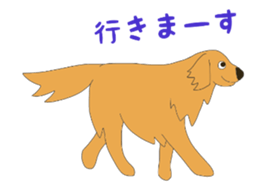 14056485