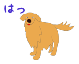 14056492